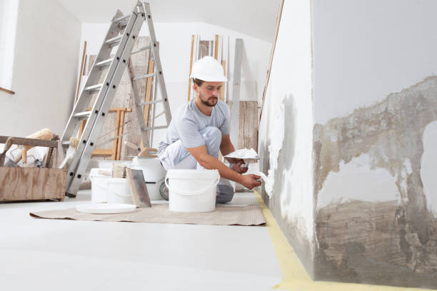 Best Crawl Space Mold Remediation  in Durand, IL