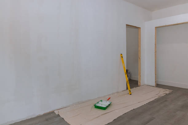 Best Attic Mold Removal  in Durand, IL