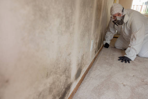 Best Indoor Air Quality Assessment  in Durand, IL