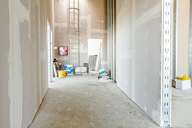 Trusted Durand, IL Mold Removal Experts
