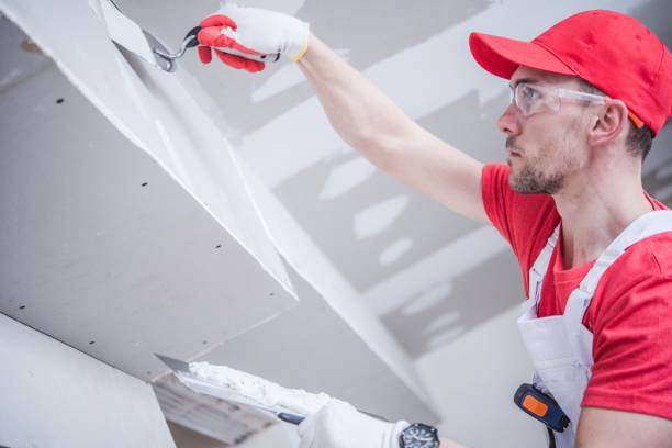 Best Water Damage & Mold Remediation  in Durand, IL